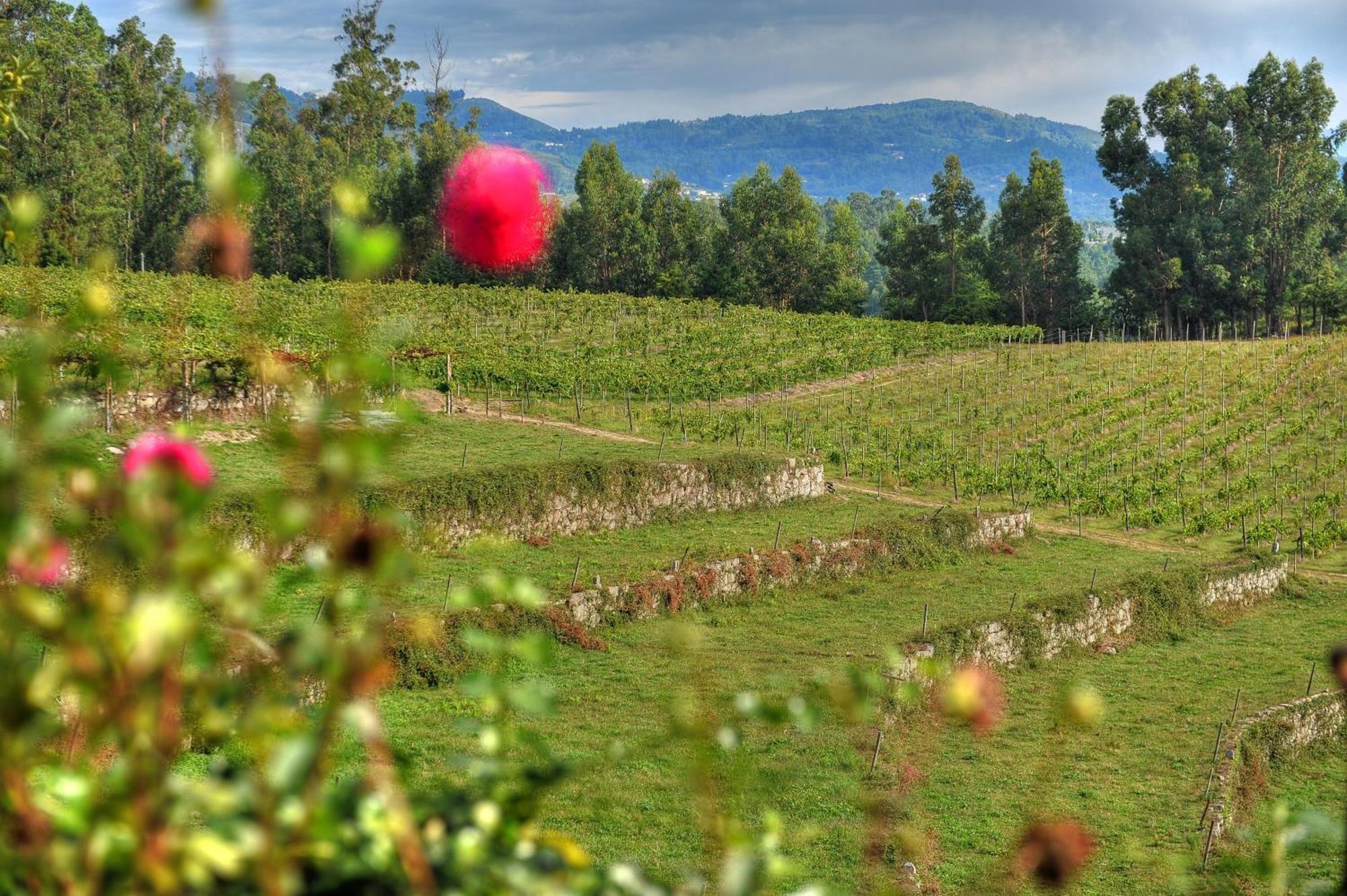 Santa Cruz do Lima Quinta De Luou 빌라 외부 사진